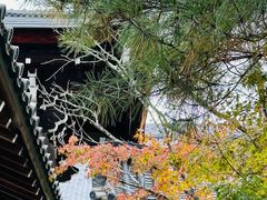 -天龙寺