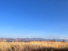 -洱海月湿地公园