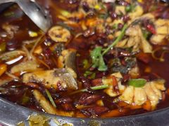 -蜀膳坊(洪公祠小区店)