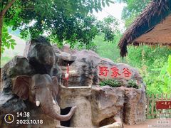 -野象谷景区