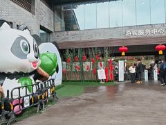 -都江堰中华大熊猫苑