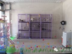 -宠爱屋室内萌宠乐园(阿拉善左旗店)