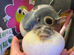 -肆月河豚·新淮扬菜·烤鸭(中关村店)