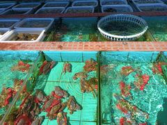 -景好海鲜餐厅(大鹏必选旅游店)