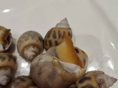 -大东海海鲜酒楼(渔人码头总店)