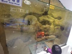 -上海昆虫博物馆