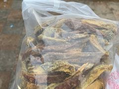-大湾区中央湿地公园-十九涌