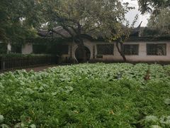 -绍兴鲁迅故里·沈园景区