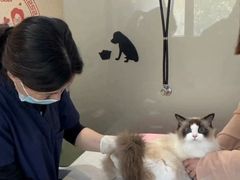 -思琪宠物医院(昆山花桥店)