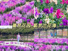-盈香心动乐园