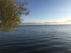 -大理洱海