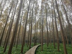 -上海怡沁园度假酒店