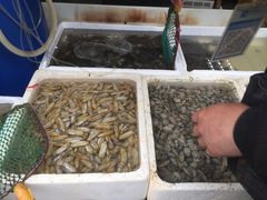 -青石桥市场北1-27号
