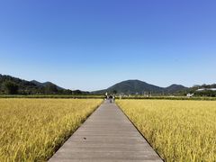 -艾米稻香小镇