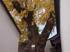 -东山风景区(洞庭东山)