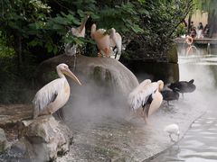 -成都动物园