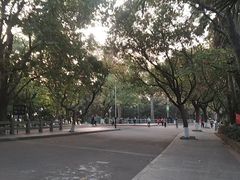 -水濂山森林公园