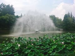 -梅林春晓花园餐厅