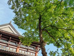 -句容茅山景区