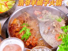 -浩爷羊蝎子火锅(望京店)
