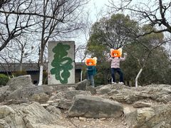 -云龙山