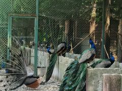 -南京金牛湖风景区