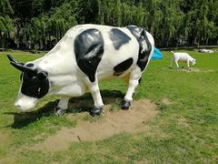 -长白岛森林公园