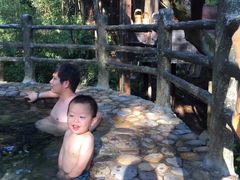 -天门沟九州驿站树上汤泉