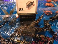 -盒马X会员店(王府井奥莱UP TOWN店)