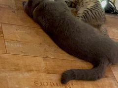 -么么咖啡(燕郊店)