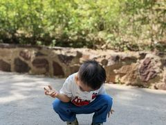 -西部长青自然儿童乐园