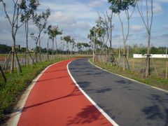 -上海长兴岛郊野公园