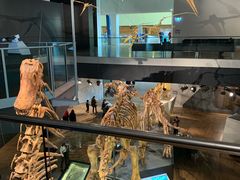 -墨尔本博物馆(Melbourne Museum)