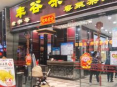-丰谷茶楼(鸿大广场店)