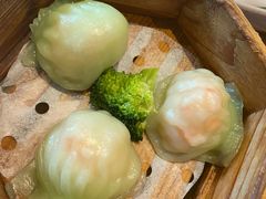 -美食小镇·观赏珍稀鸟类·长隆熊猫酒店
