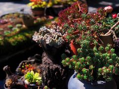 -炊烟餐厅