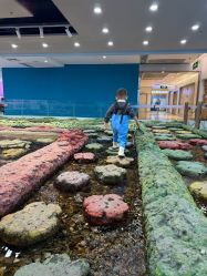 -钓虾工场·钓虾·赶海(回龙观店)