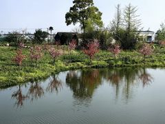 -嘉北郊野公园
