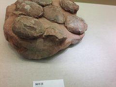 -衢州市博物馆