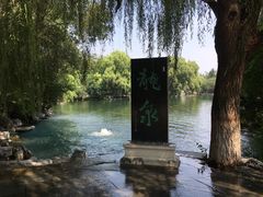 -百脉泉景区