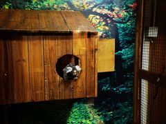 -上海大自然野生昆虫馆