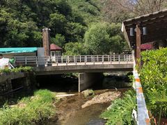 -Local泰莲庭(虹鳟鱼店)