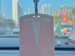 -TESLA 特斯拉(广州天环广场体验店)