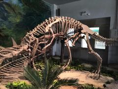 -自贡恐龙博物馆