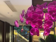 -花锦堂·隐庐