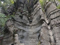 -梭布垭石林景区