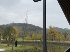-千年银杏谷文化旅游区