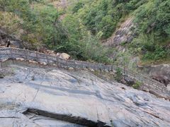 -广州白江湖森林公园