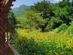 -三块石国家森林公园