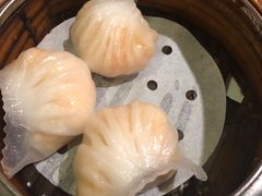 -糖朝(尖沙咀店)